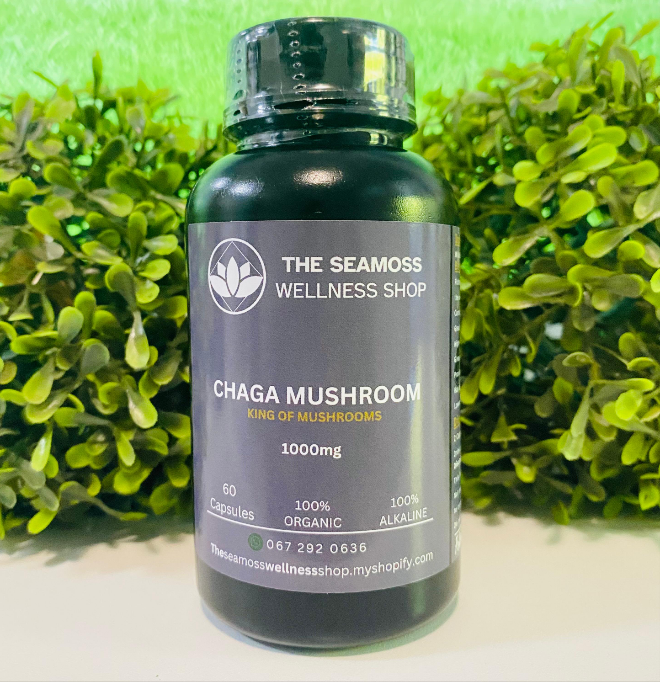 CHAGA MUSHROOM 500mg 60 CAPSULES