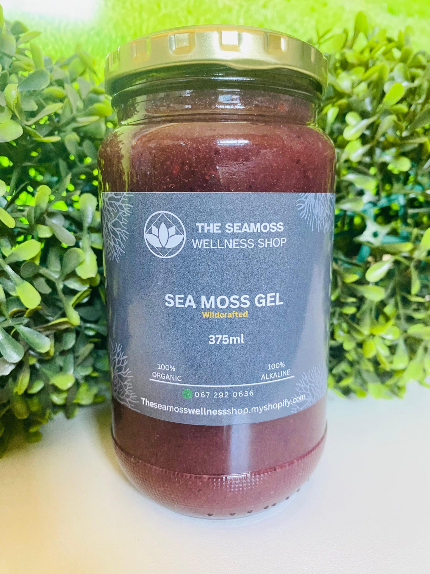 SEA MOSS GEL BLUEBERRY