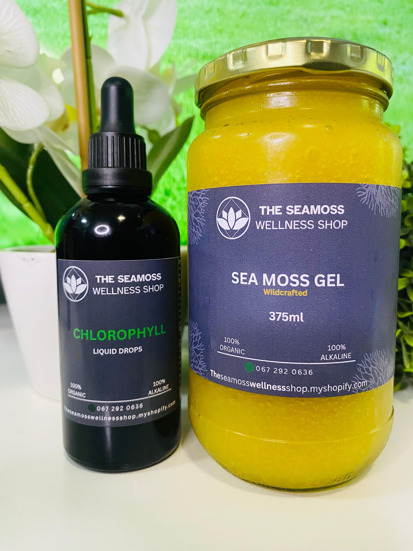 SEA MOSS GEL 375ml PLUS CHLOROPHYLL LIQUID DROPS 100ml