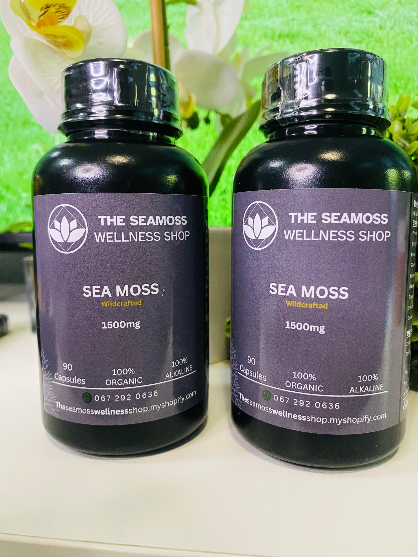2X SEA MOSS CAPSULES