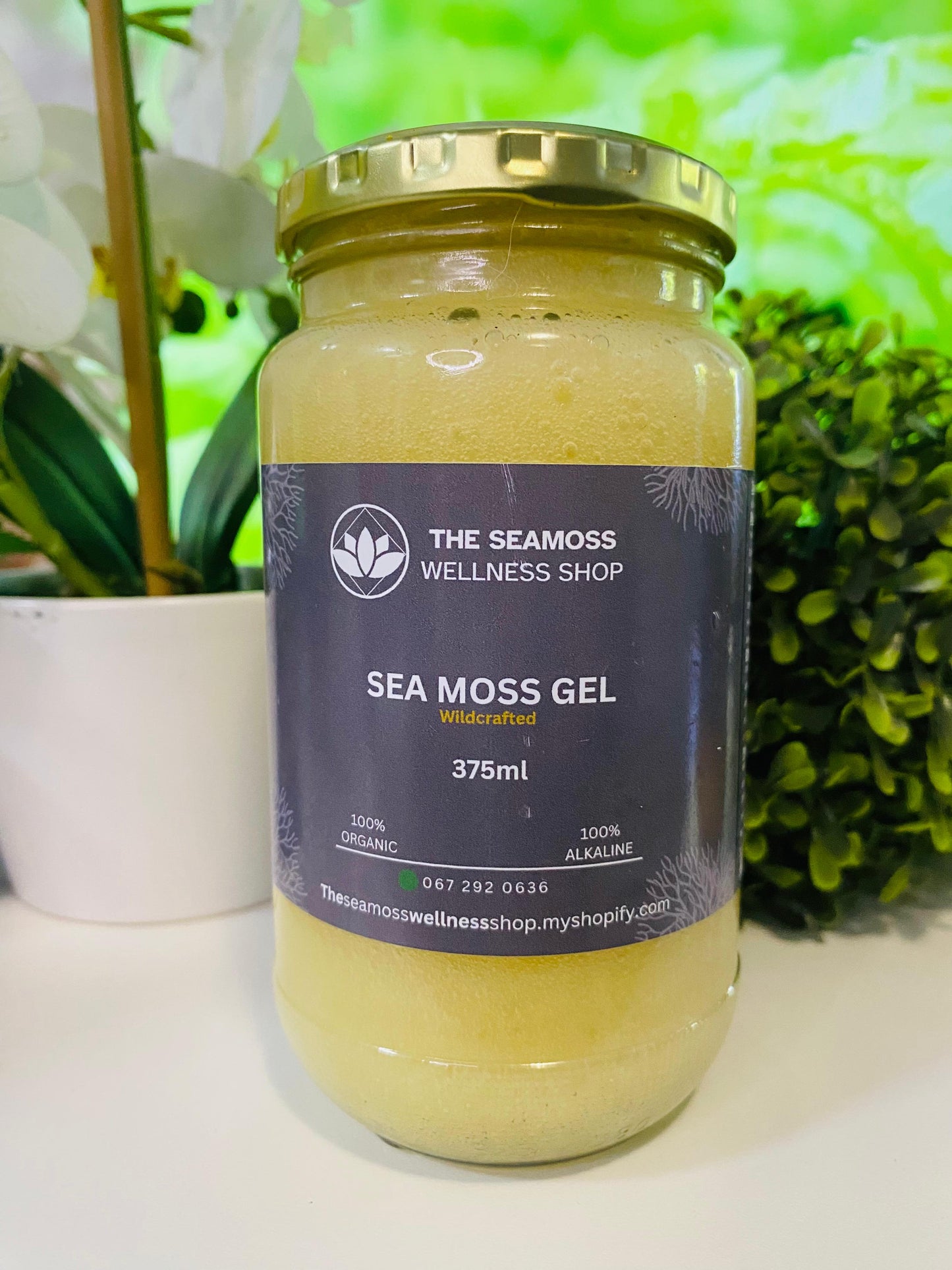 SEA MOSS GEL PINEAPPLE