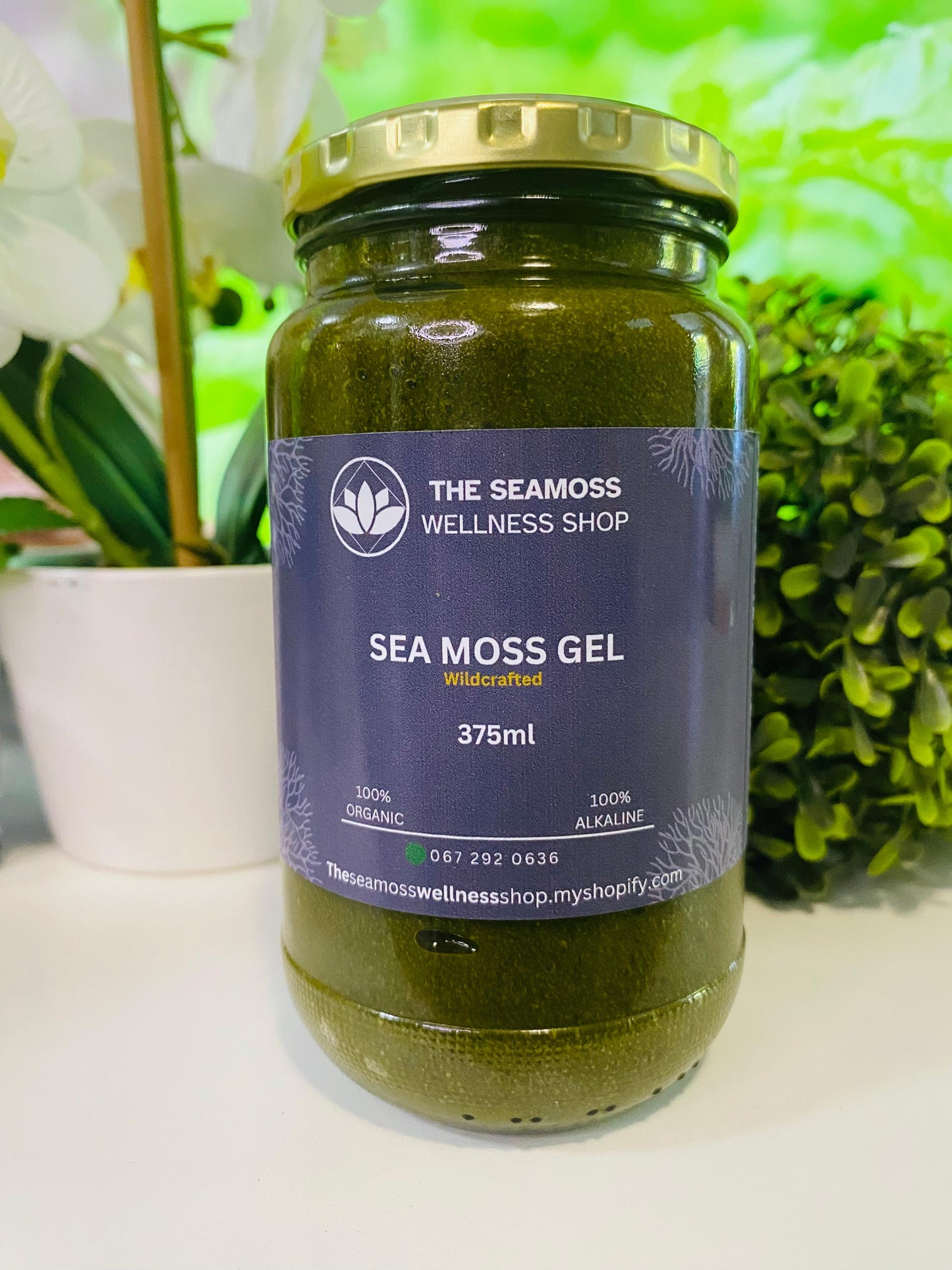 SEA MOSS GEL SOURSOP
