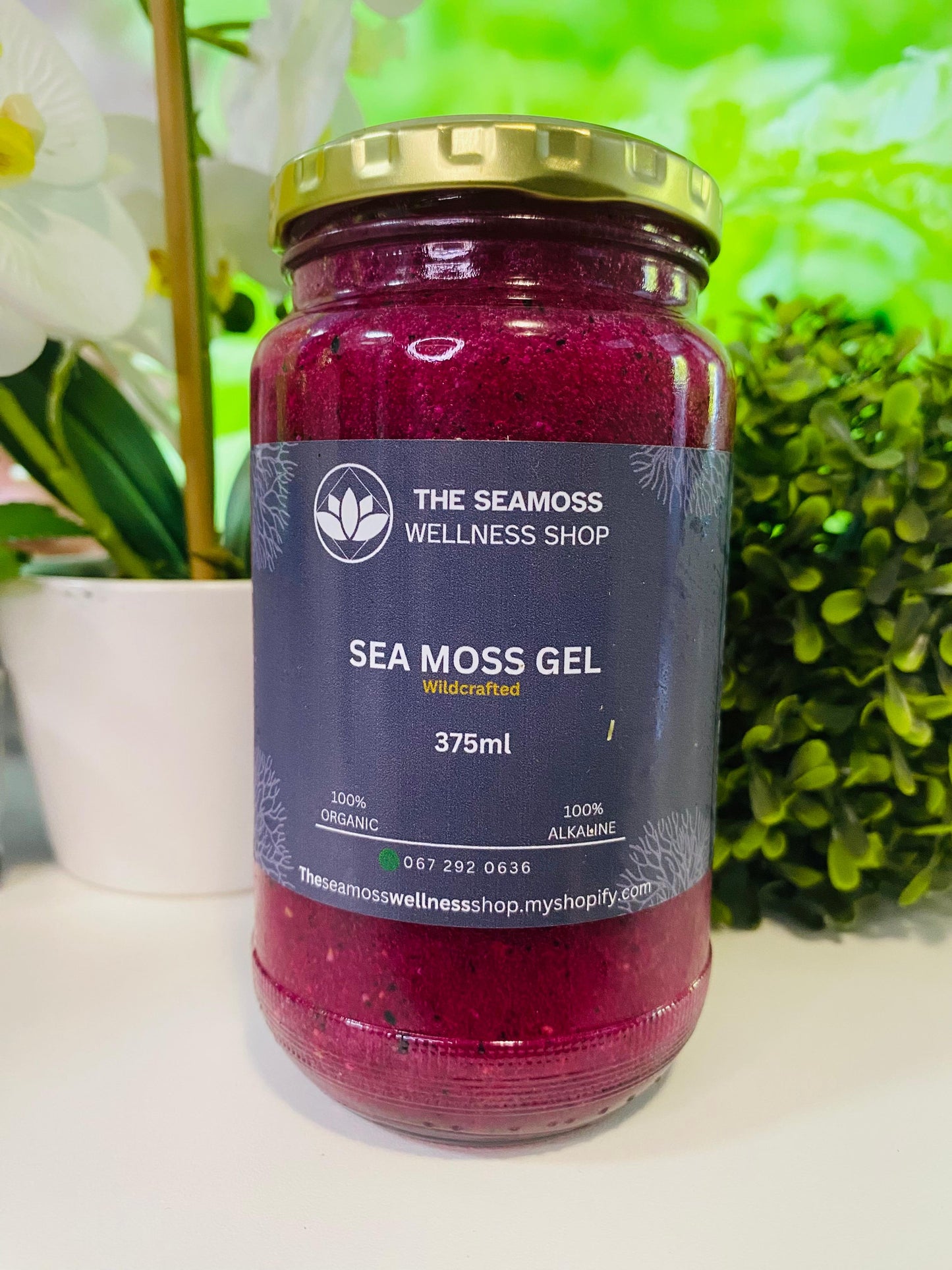 SEA MOSS GEL DRAGON FRUIT