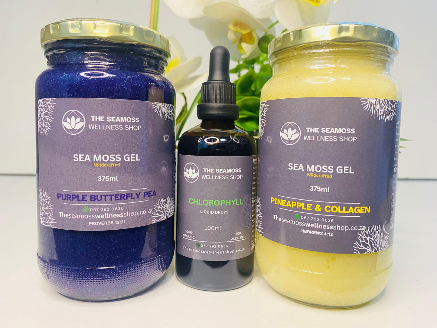 2X SEA MOSS GEL 375ml PLUS CHLOROLOPHYLL DROPS 100ml - SPECIFY FLAVORS IN SHIPPING