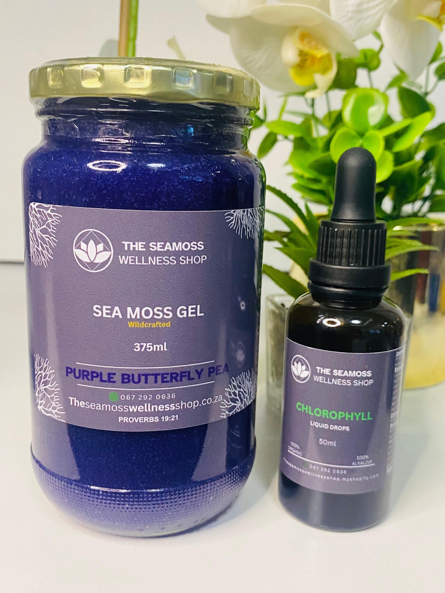 SEA MOSS GEL V CHLOROPHYLL LIQUID DROPS