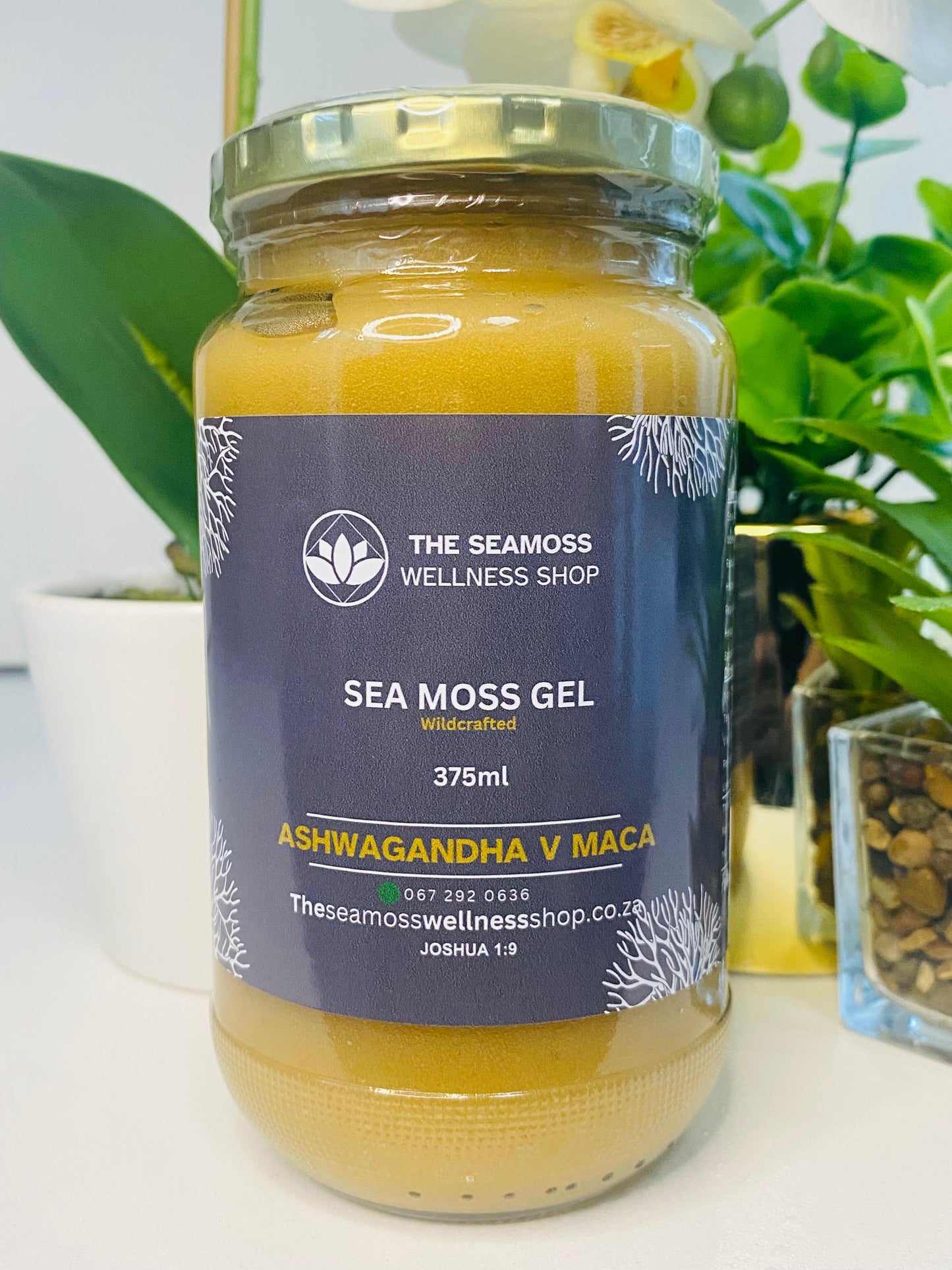 SEA MOSS GEL ASHWAGANDHA v MACA ROOT