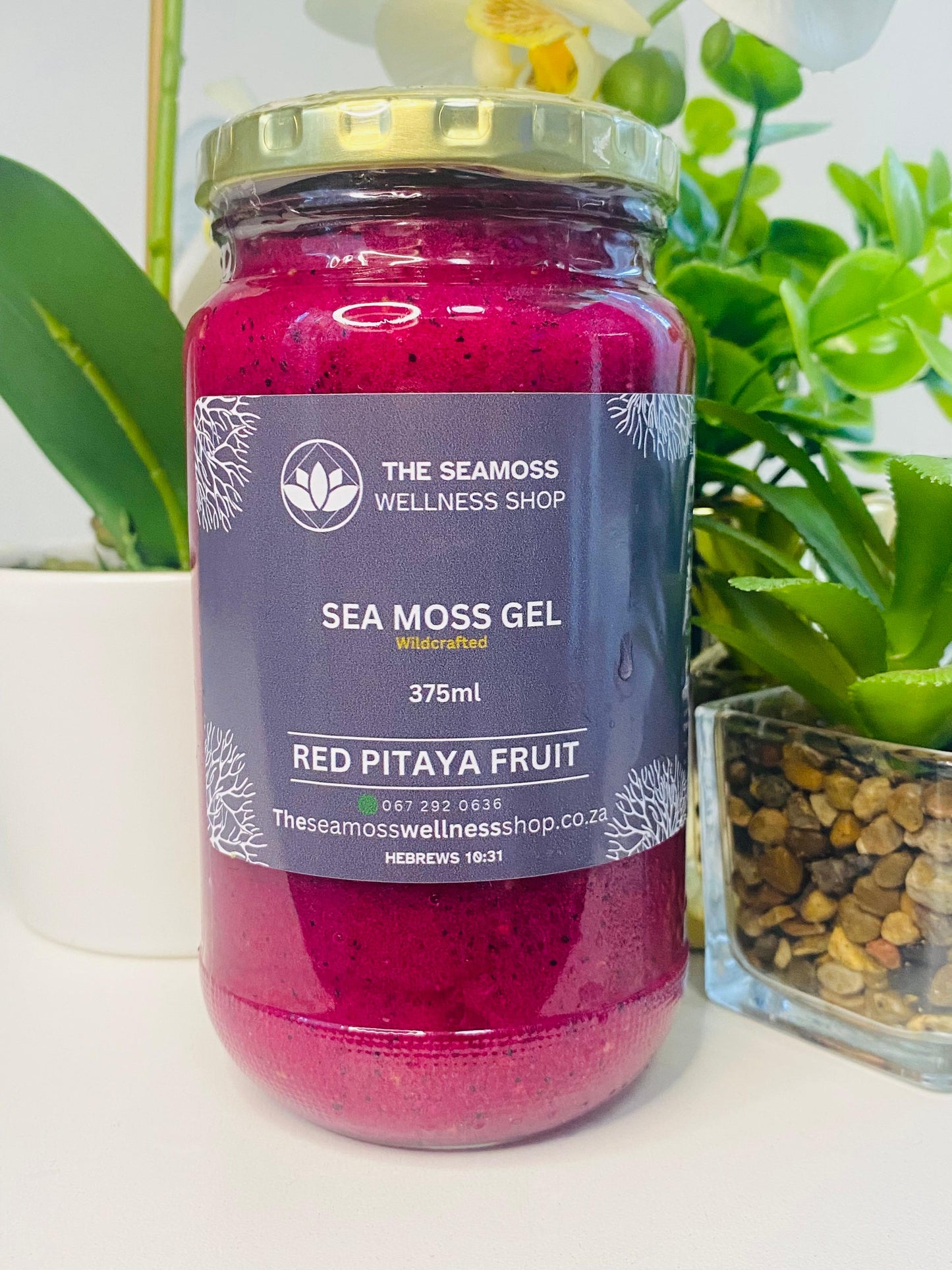 SEA MOSS GEL DRAGON FRUIT