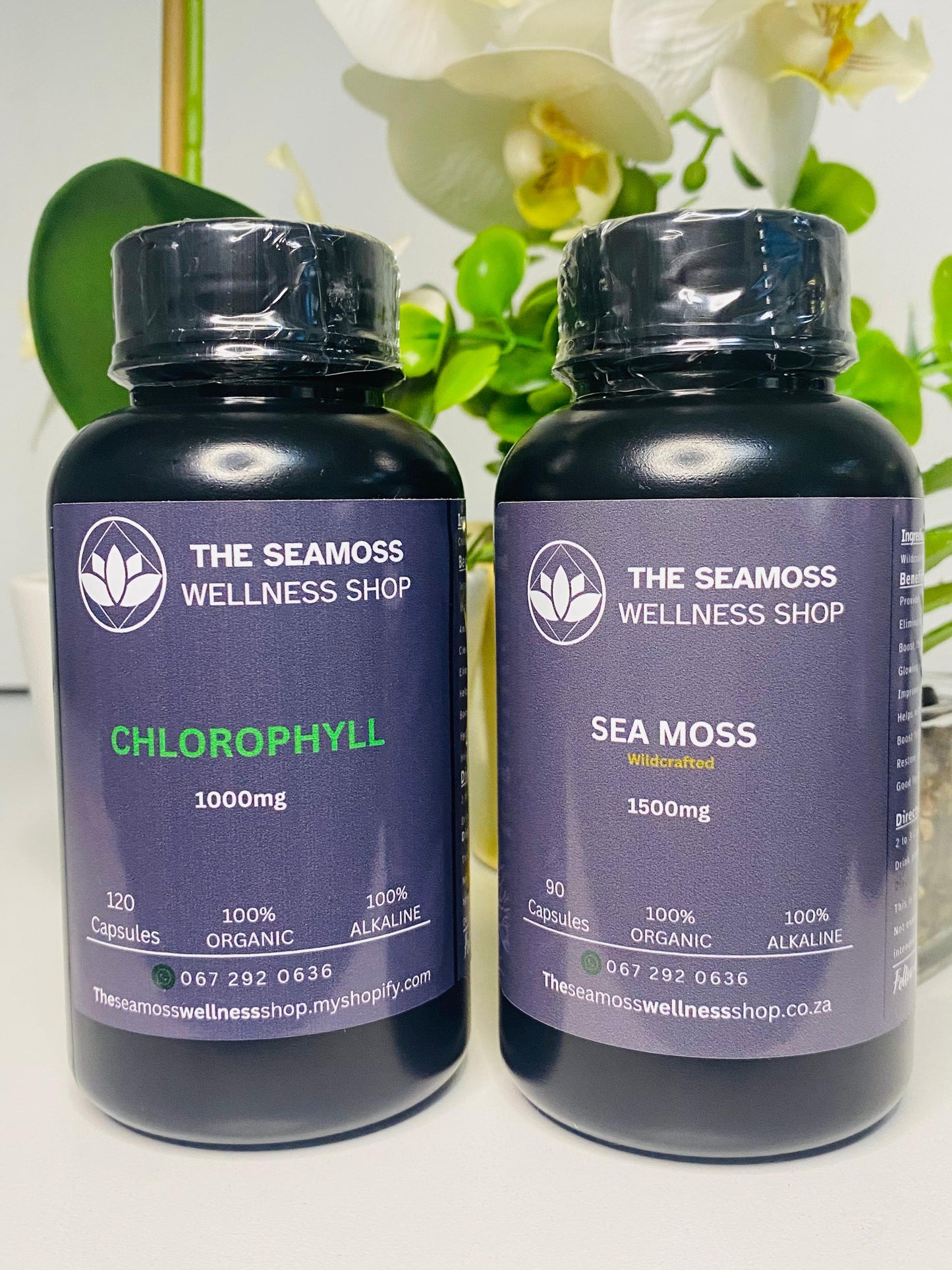 SEA MOSS v CHLOROPHYLL CAPSULES BUNDLE