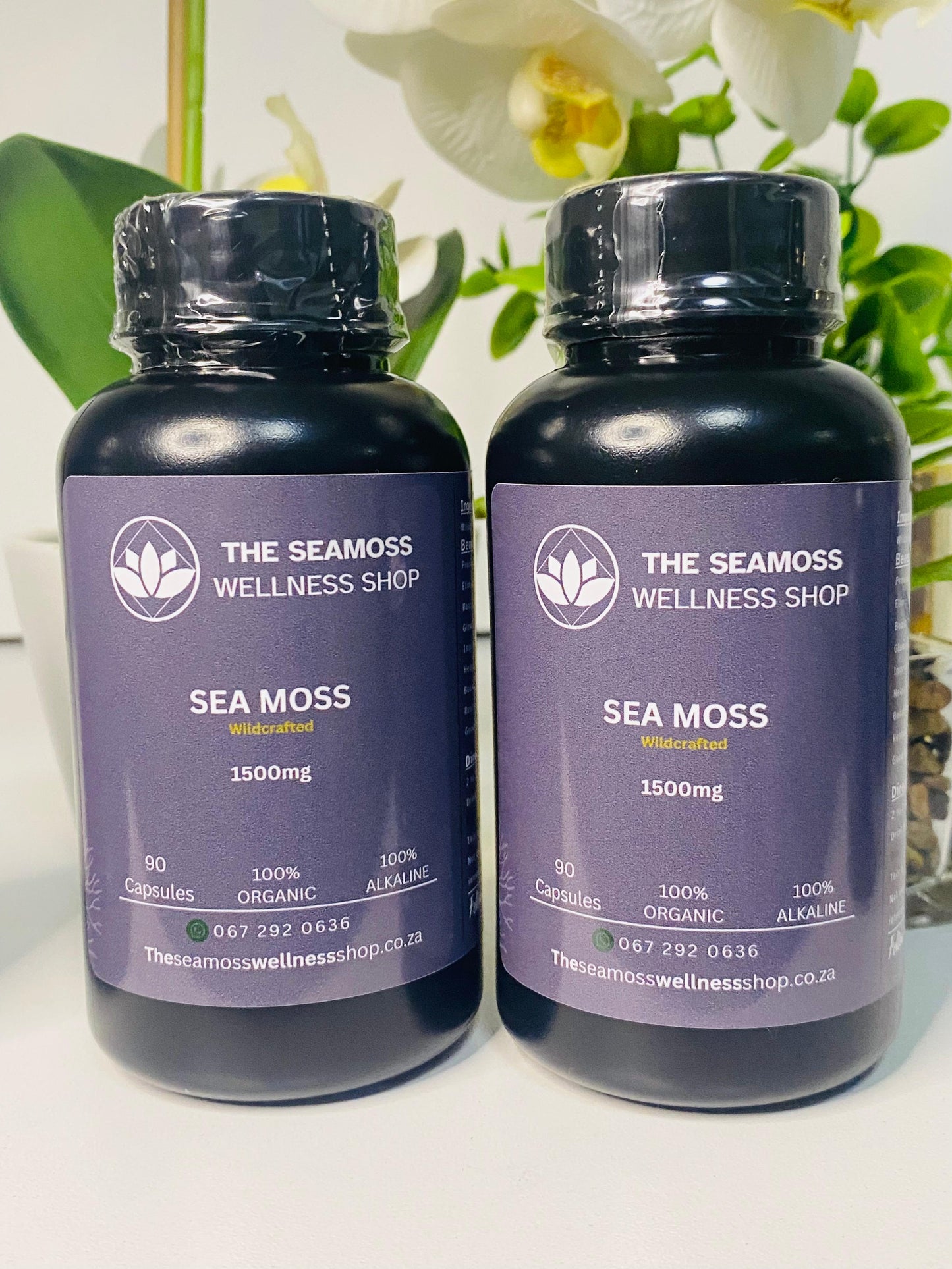 2X SEA MOSS CAPSULES