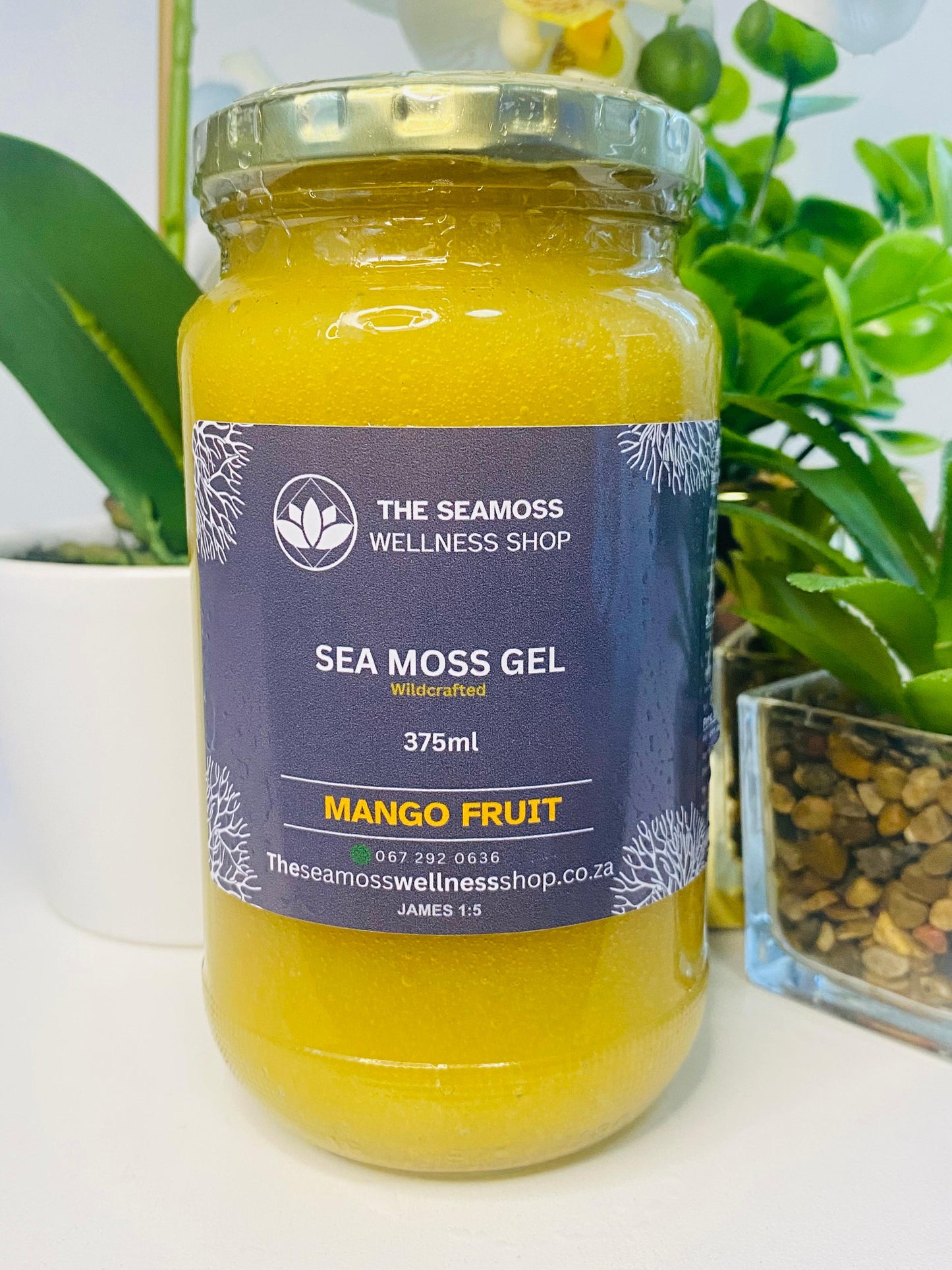 SEA MOSS GEL MANGO