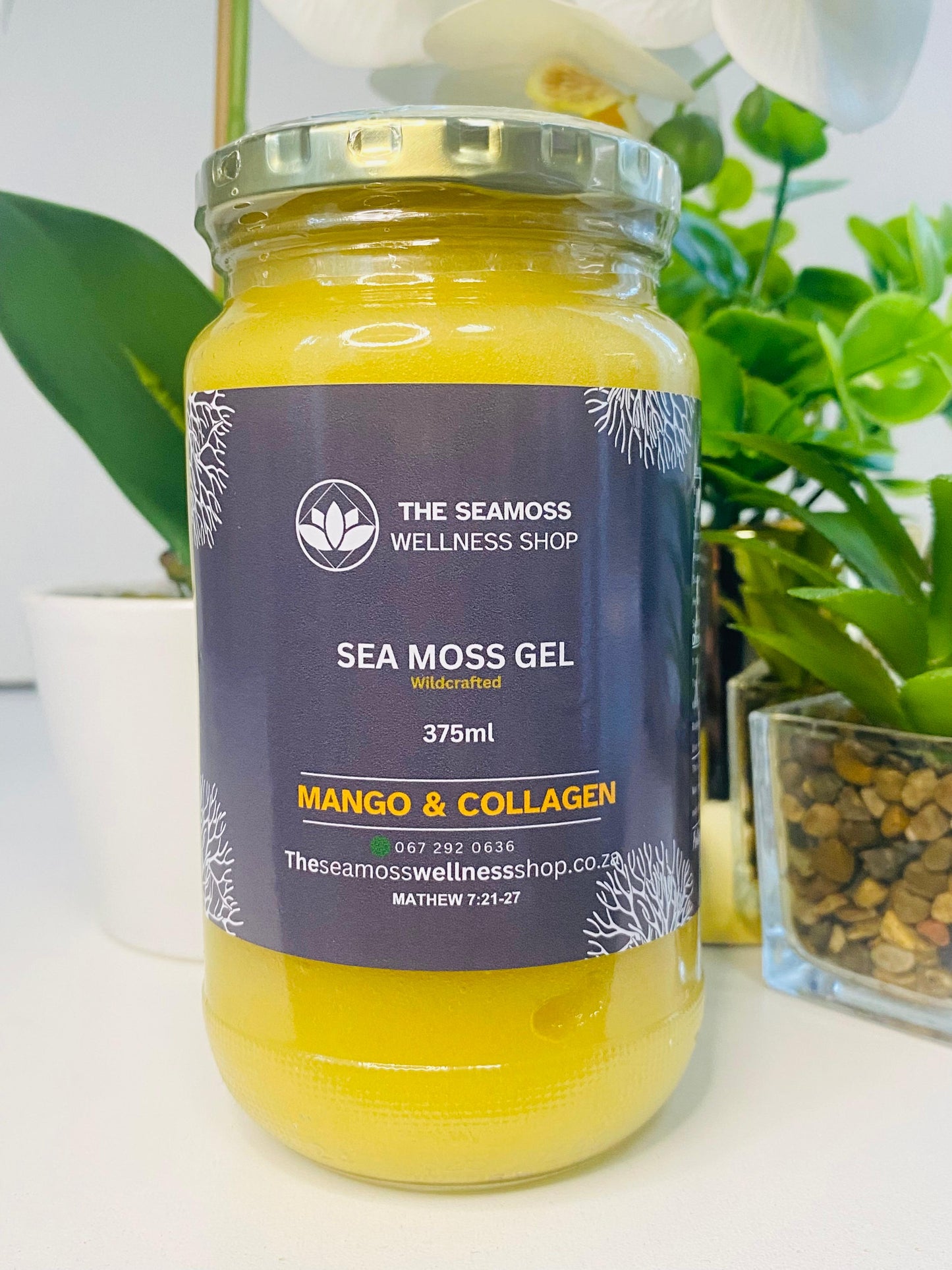 SEA MOSS GEL MANGO & COLLAGEN