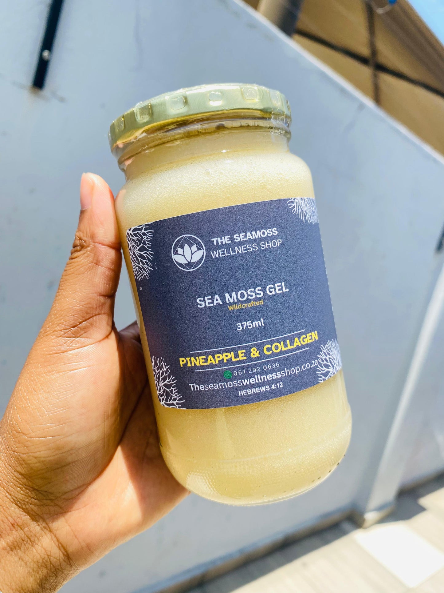 SEA MOSS GEL PINEAPPLE & COLLAGEN