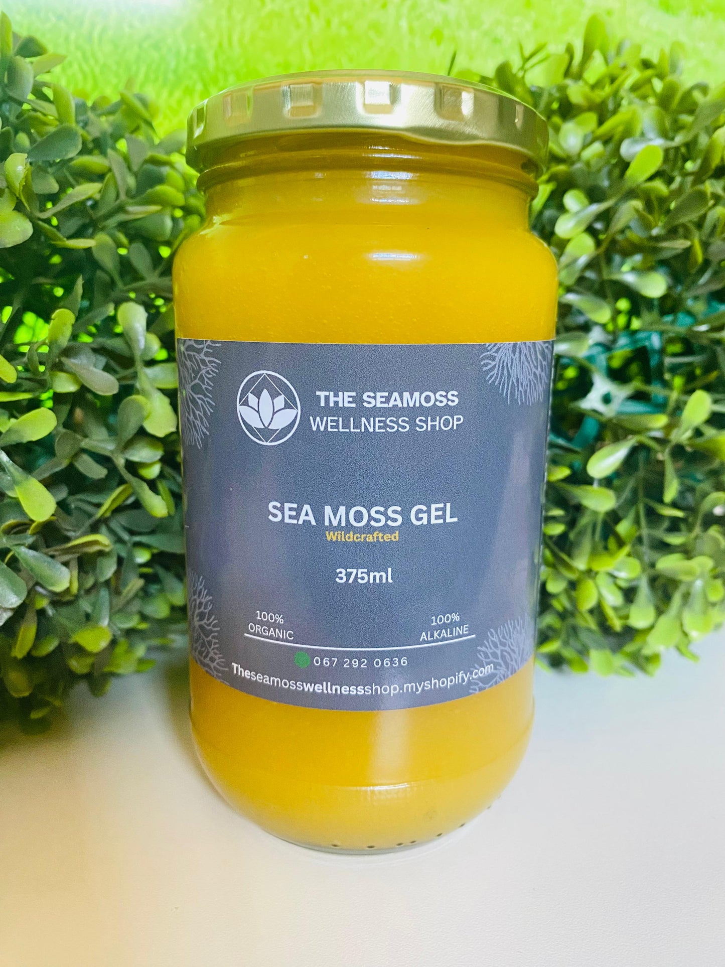 SEA MOSS GEL MANGO