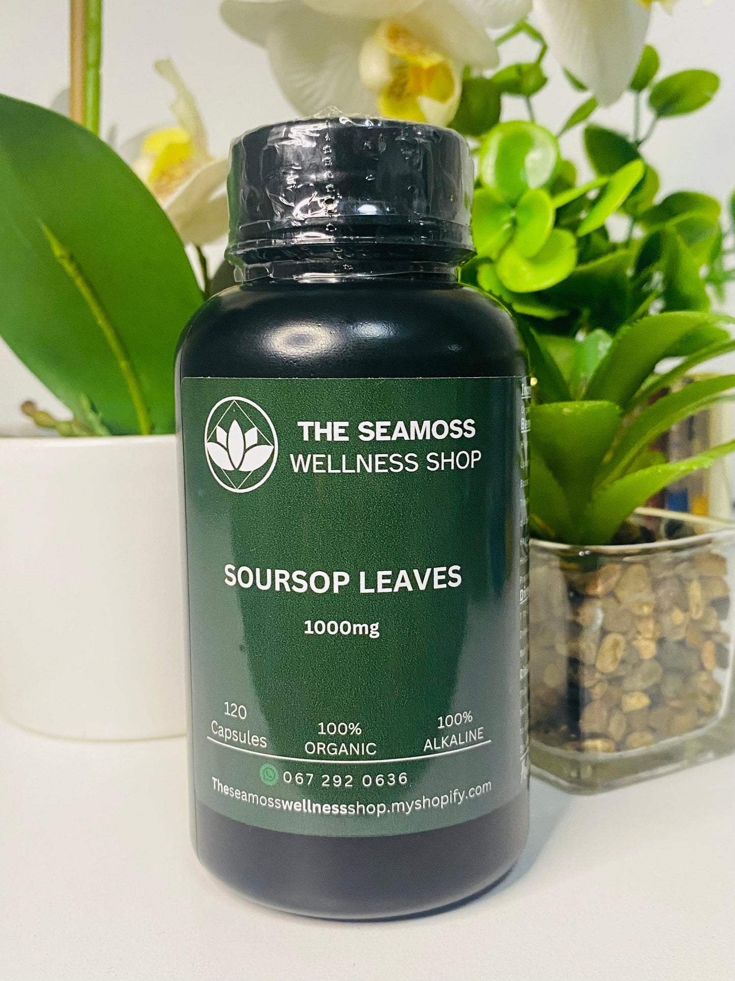 SOURSOP LEAVES 500mg 120 CAPSULES