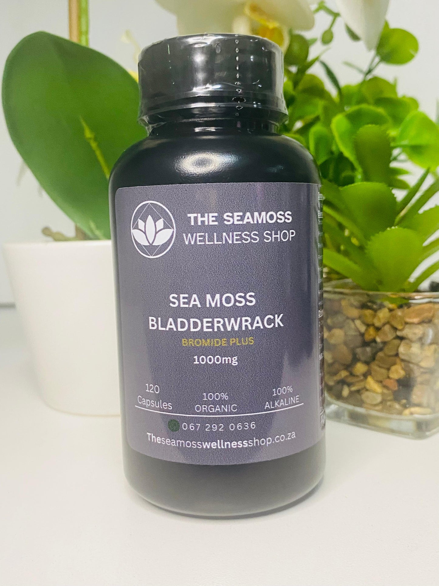SEA MOSS & BLADDERWRACK BROMIDE PLUS 120 500mg Capsules
