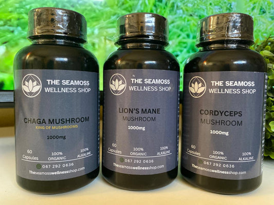 MEDICINAL MUSHROOM BUNDLE