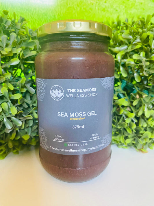 SEA MOSS GEL GINGER ELDERBERRY