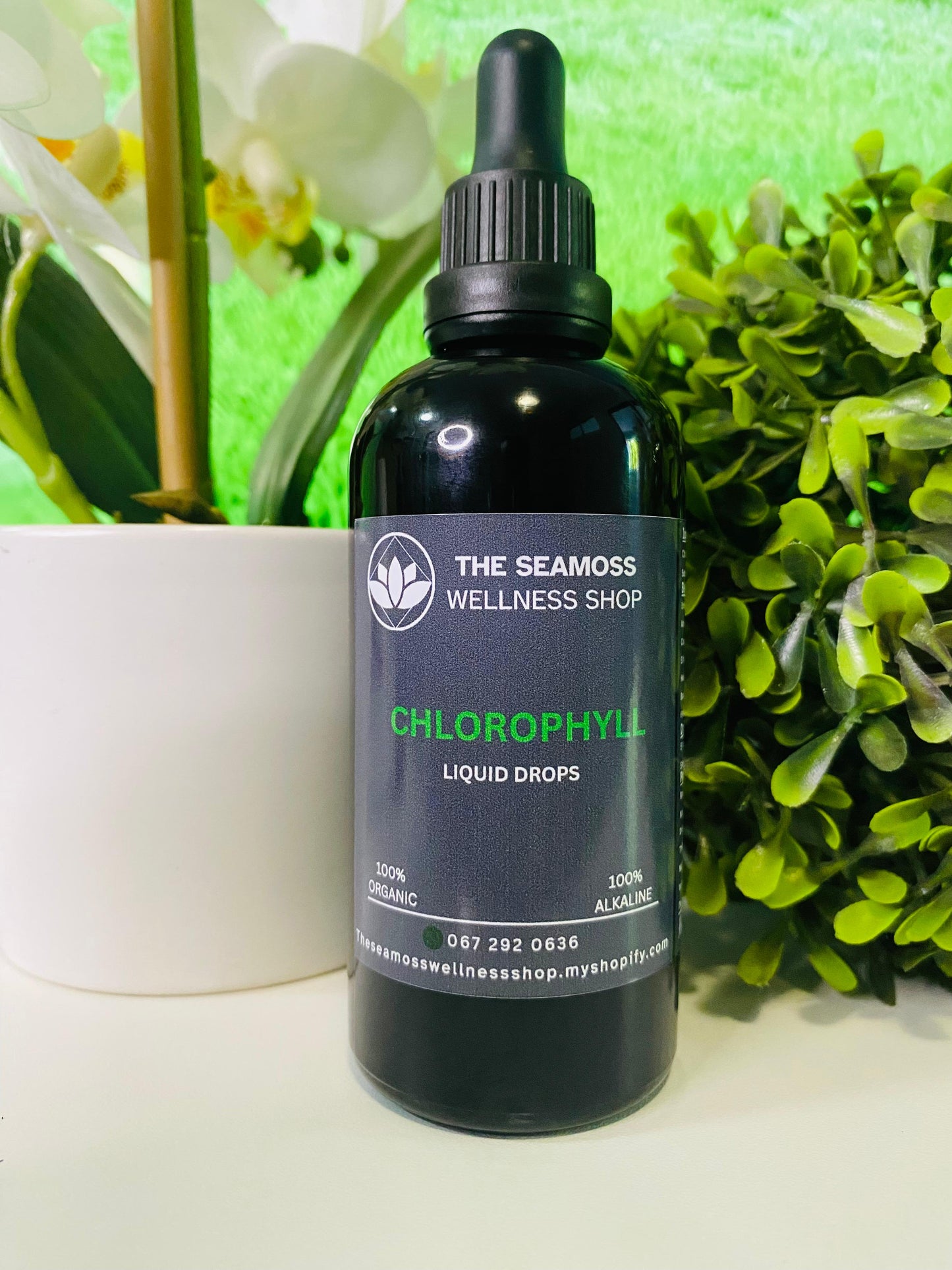 CHLOROPHYLL LIQUID DROPS