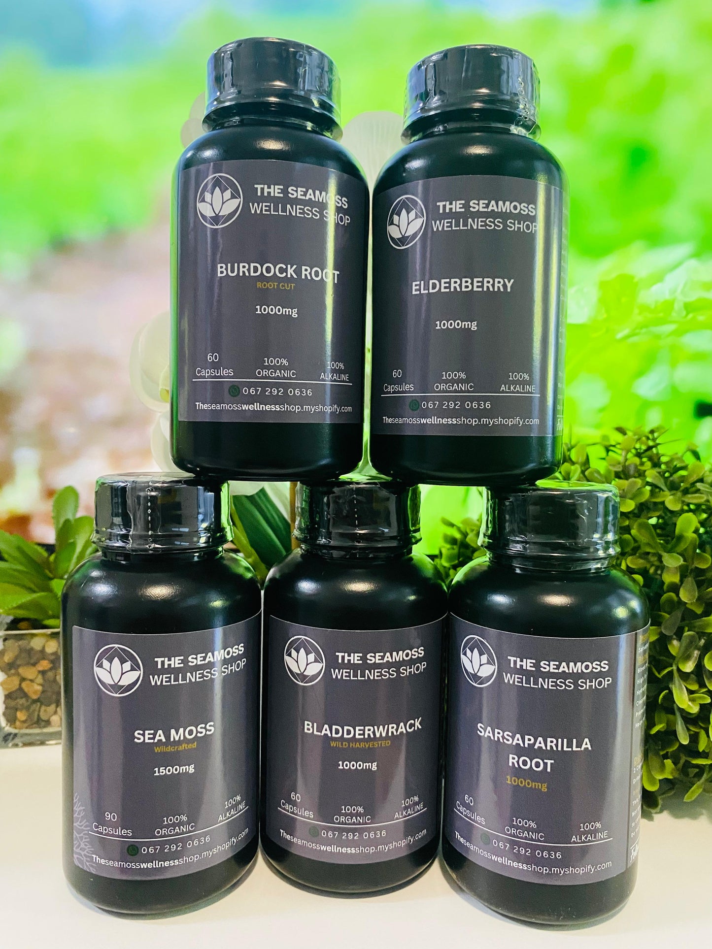 CLEANSING BUNDLE - SEA MOSS, ELDERBERRY, BURDOCK ROOT, BLADDERWRACK & SARSAPARILLA/IRON BOOSTER