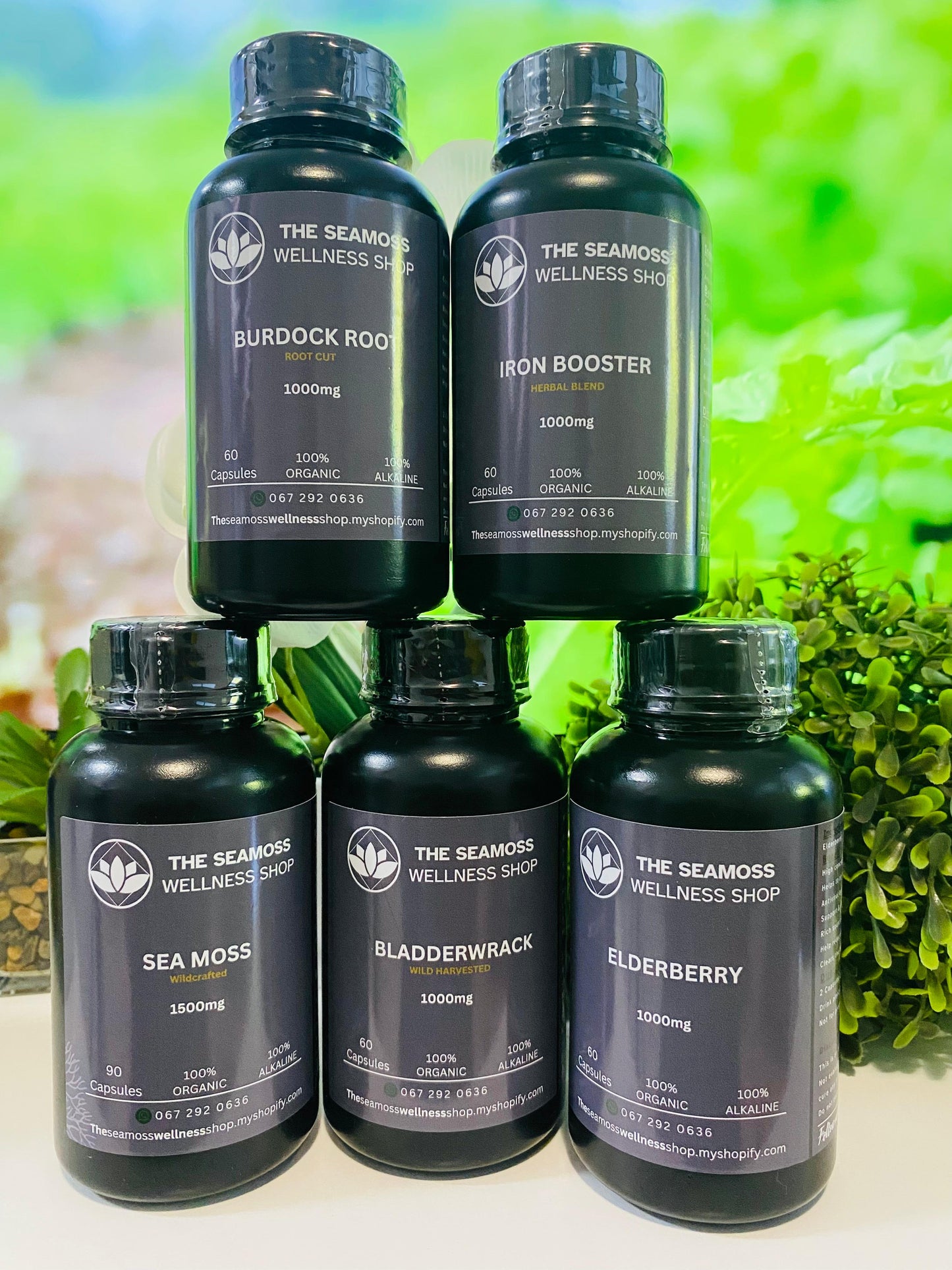 CLEANSING BUNDLE - SEA MOSS, ELDERBERRY, BURDOCK ROOT, BLADDERWRACK & SARSAPARILLA/IRON BOOSTER