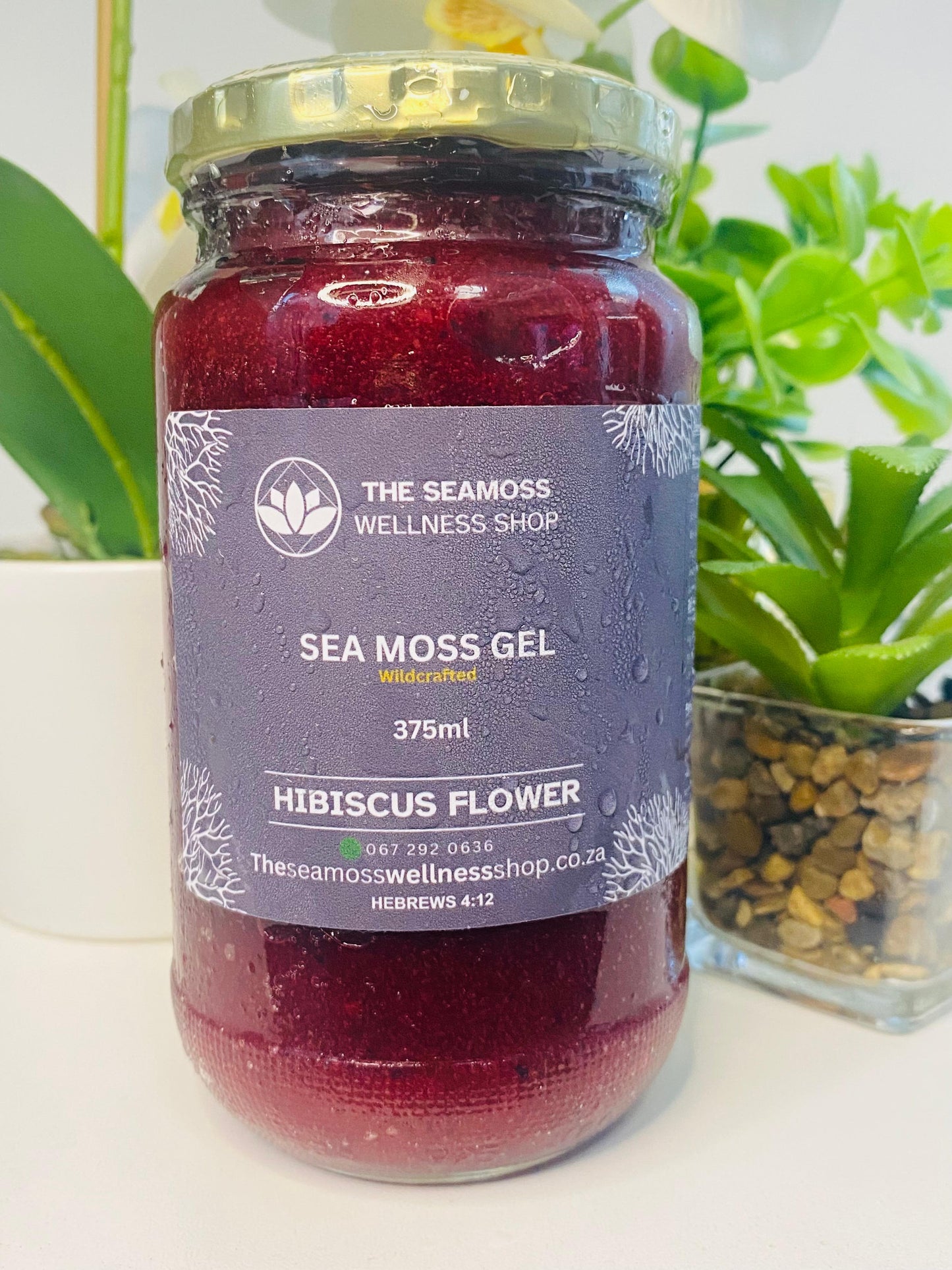 SEA MOSS GEL HIBISCUS FLOWER