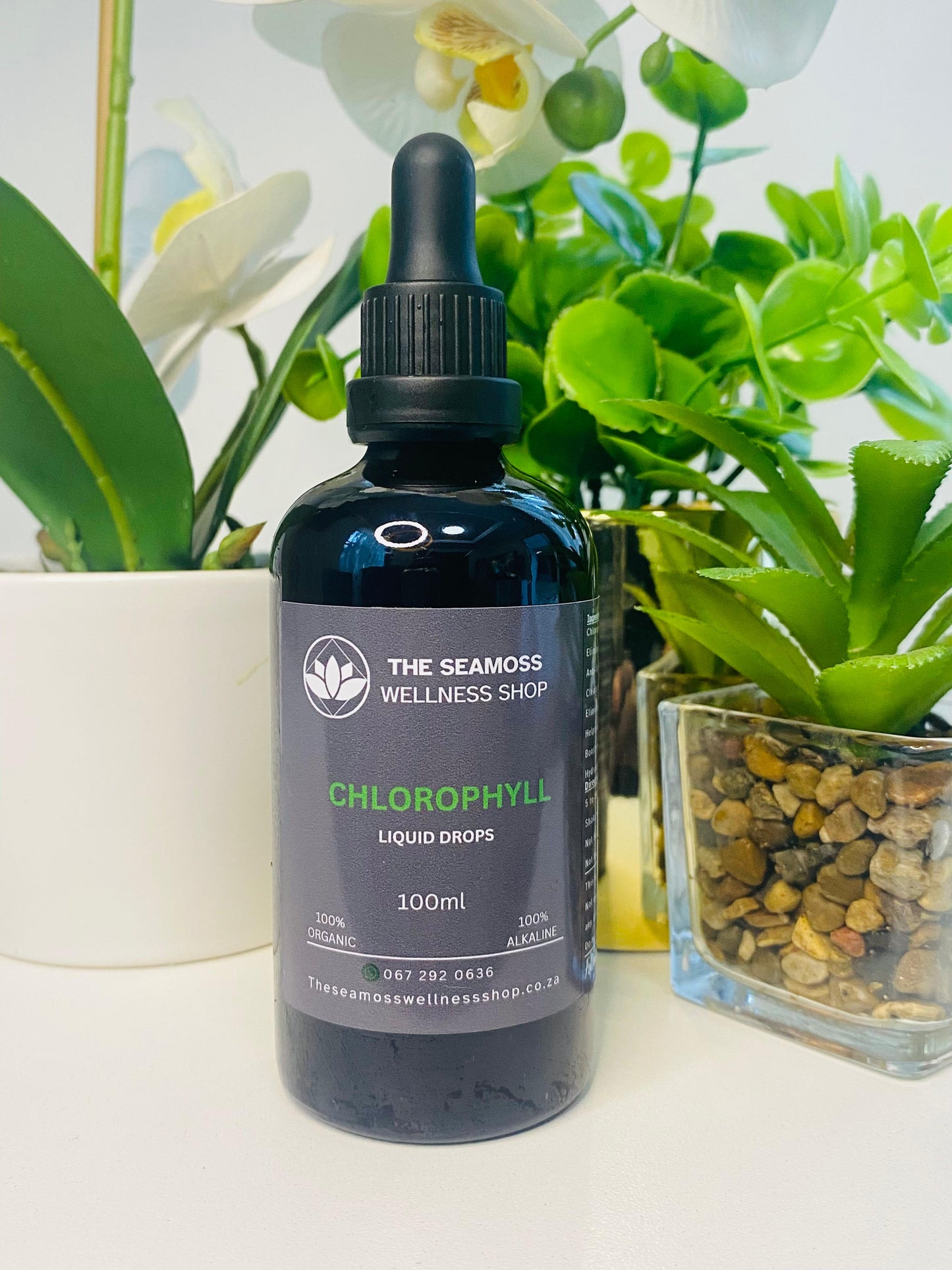 CHLOROPHYLL LIQUID DROPS 100ml