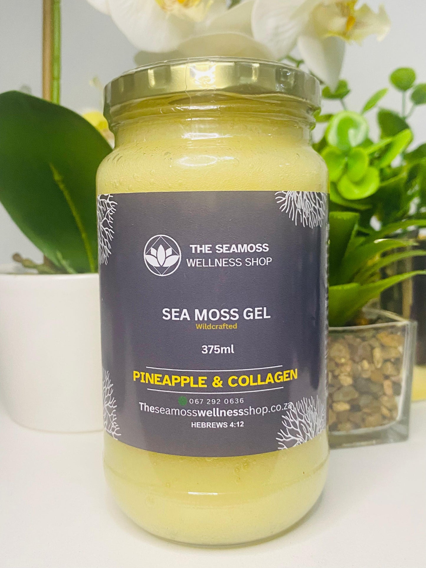 SEA MOSS GEL PINEAPPLE & COLLAGEN