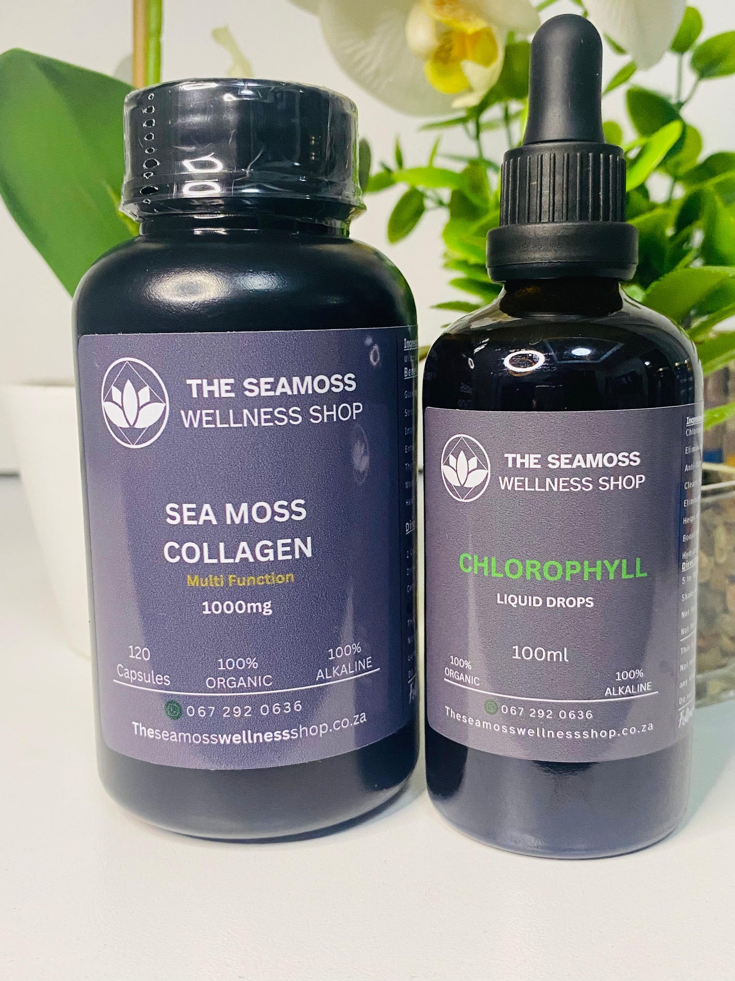 SEA MOSS v CHLOROPHYLL LIQUID DROPS 100ml