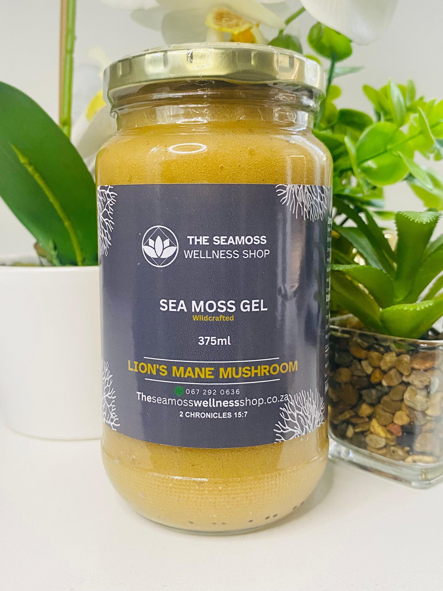 SEA MOSS GEL LION’S MANE MUSHROOM