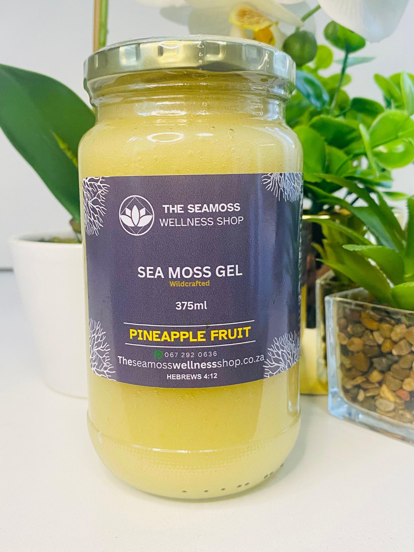 SEA MOSS GEL PINEAPPLE