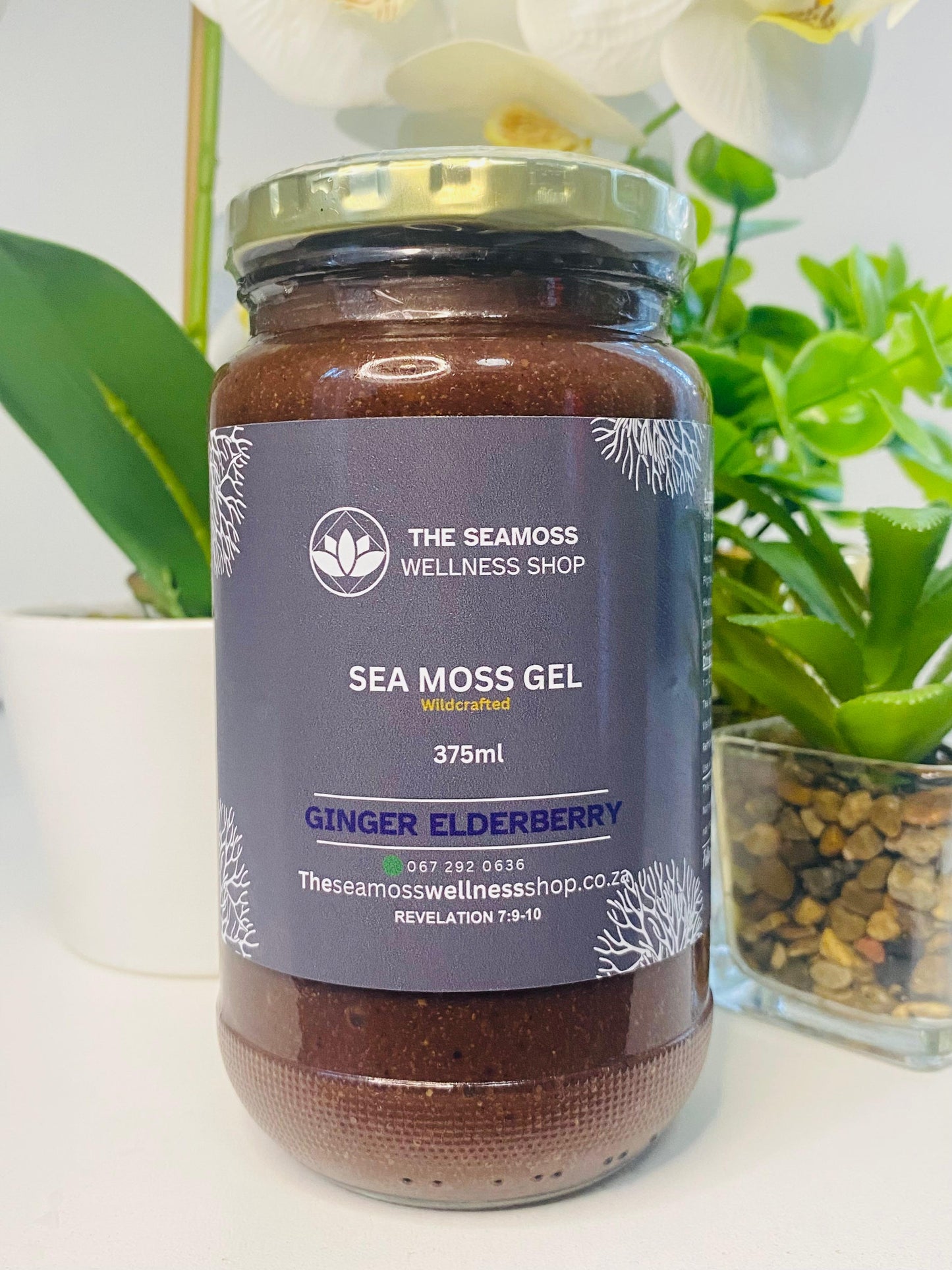 SEA MOSS GEL GINGER ELDERBERRY