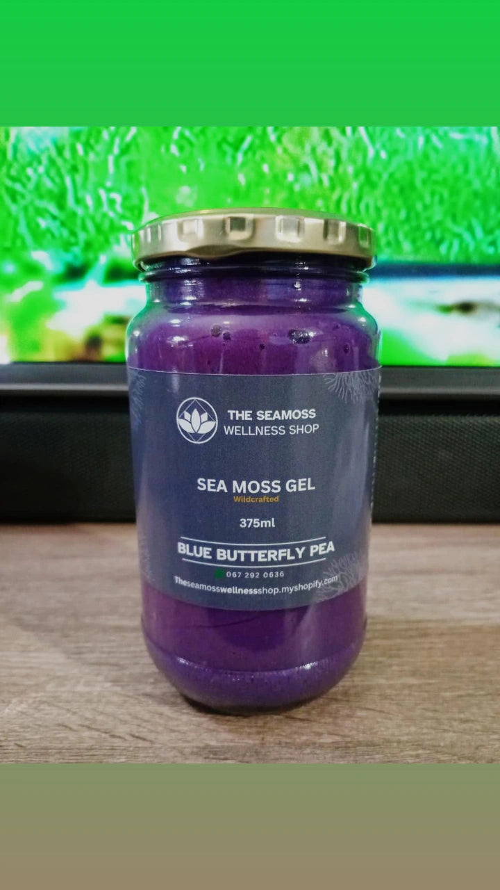 SEA MOSS GEL BUTTERFLY PEA  FLOWER