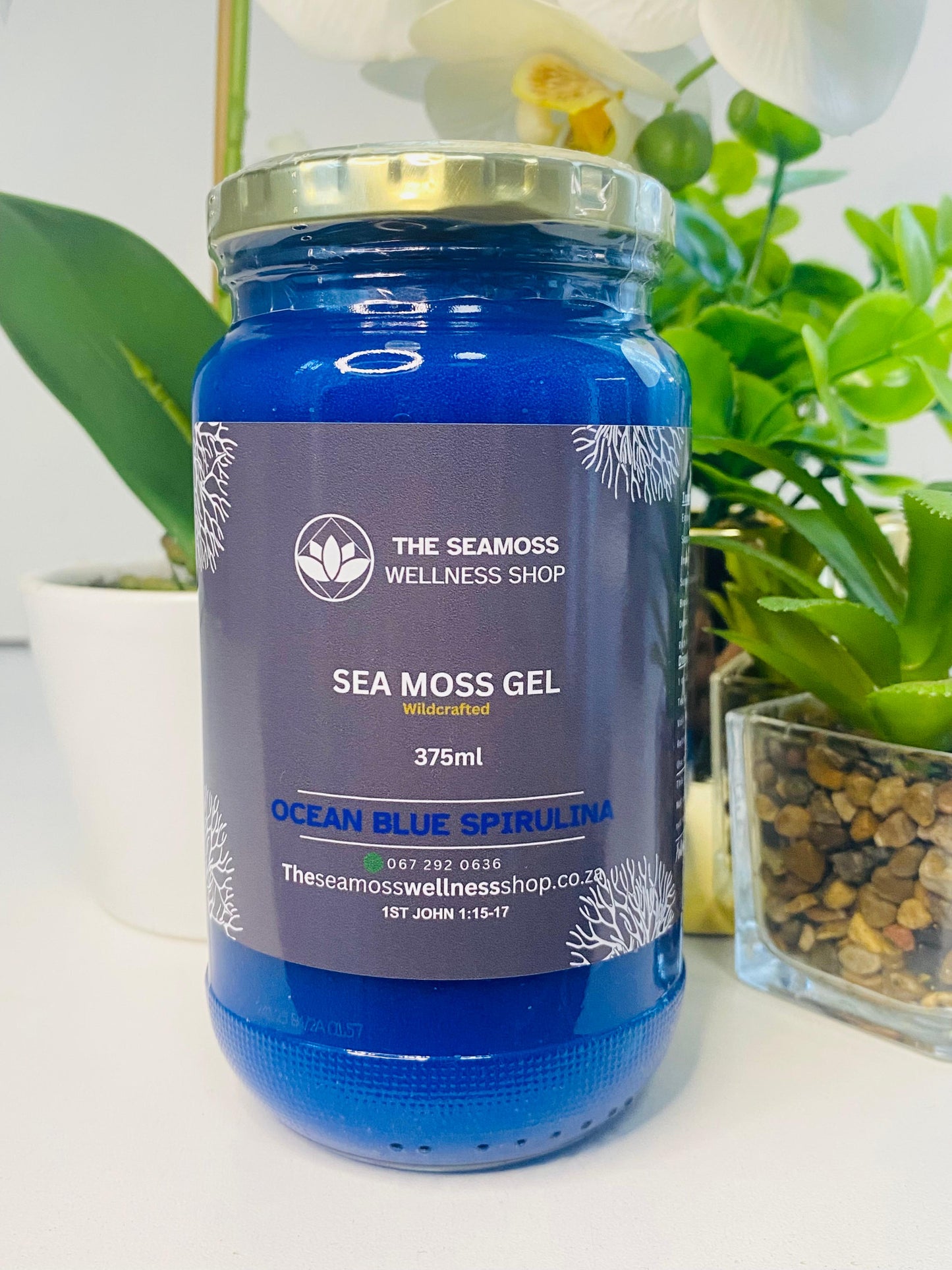 SEA MOSS GEL OCEAN BLUE SPIRULINA