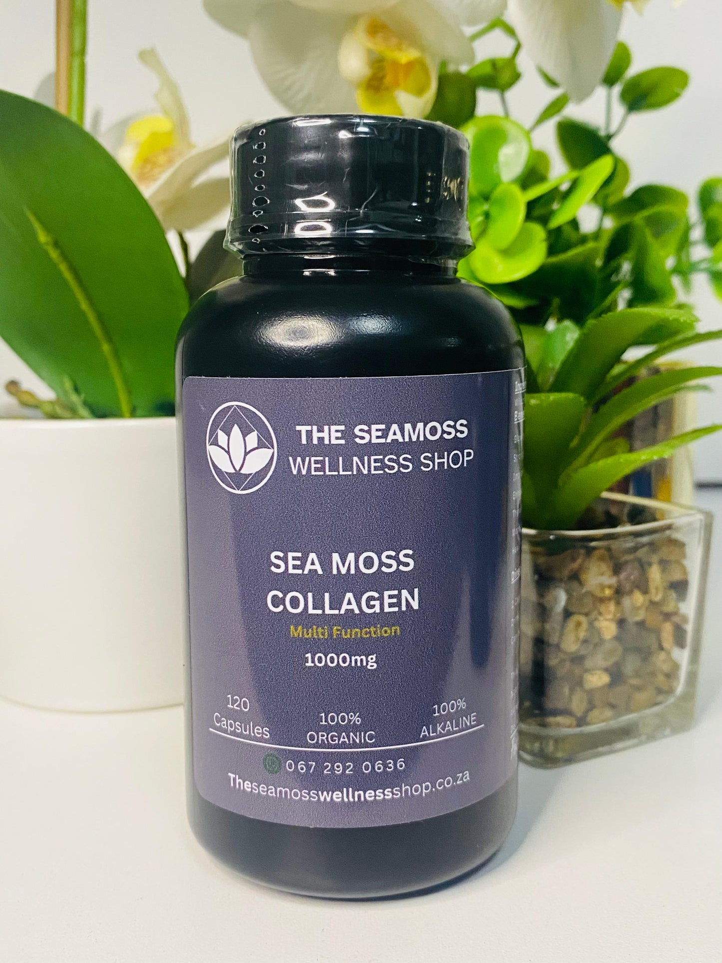 SEA MOSS & COLLAGEN 120 500mg Capsules