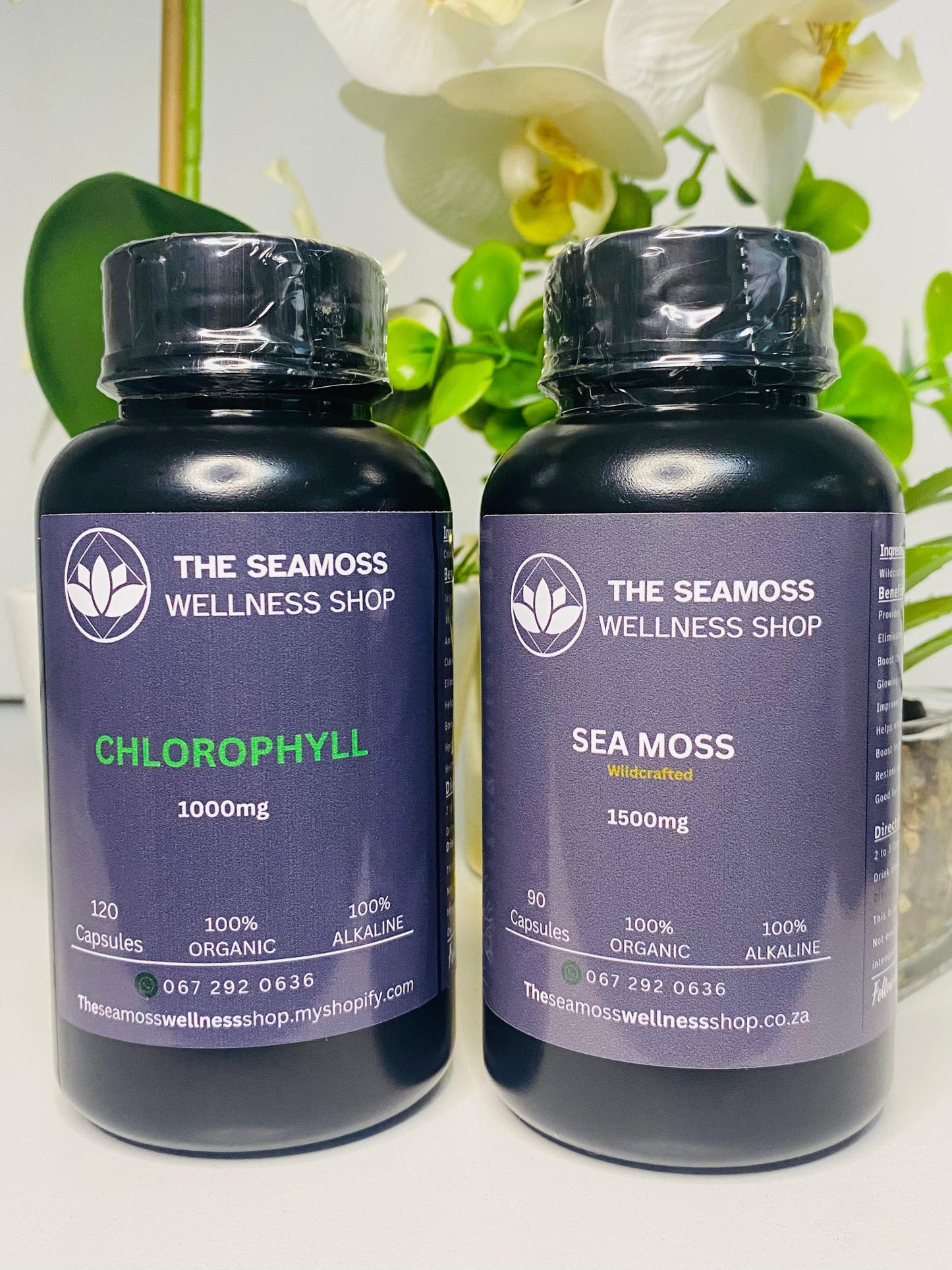 SEA MOSS v CHLOROPHYLL CAPSULES BUNDLE