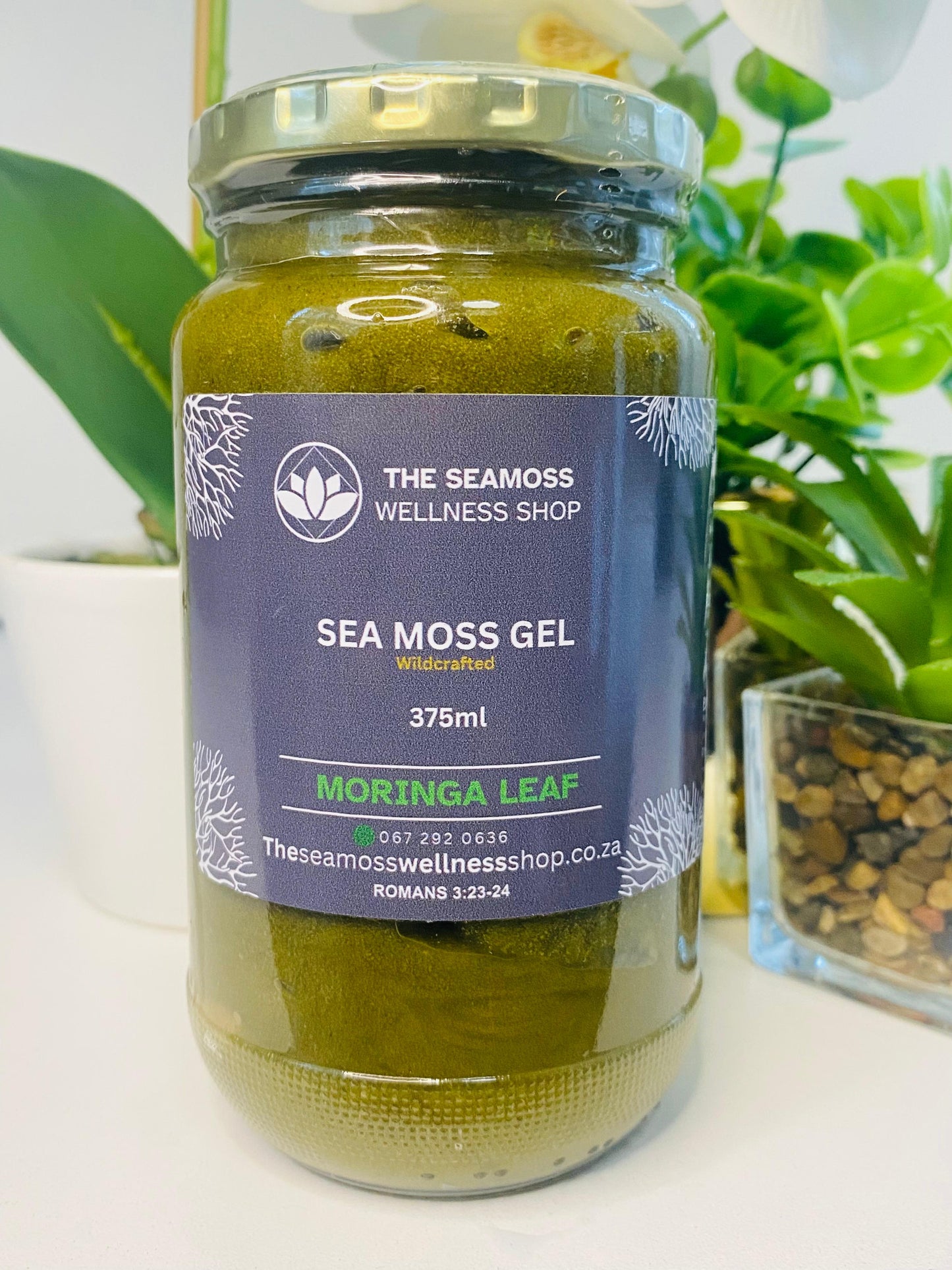 SEA MOSS GEL MORINGA